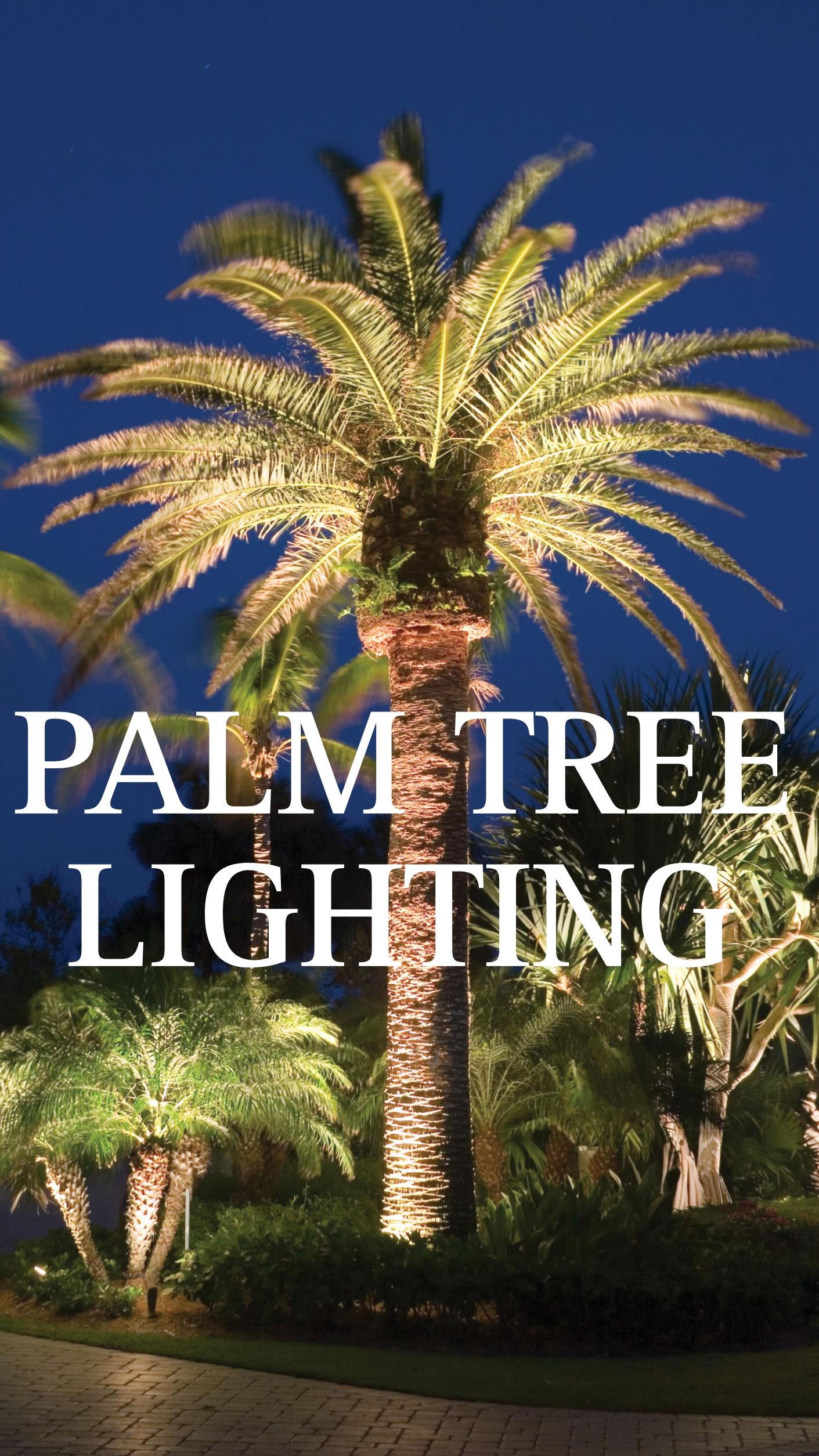 Premium Architectural Lighting Solutions